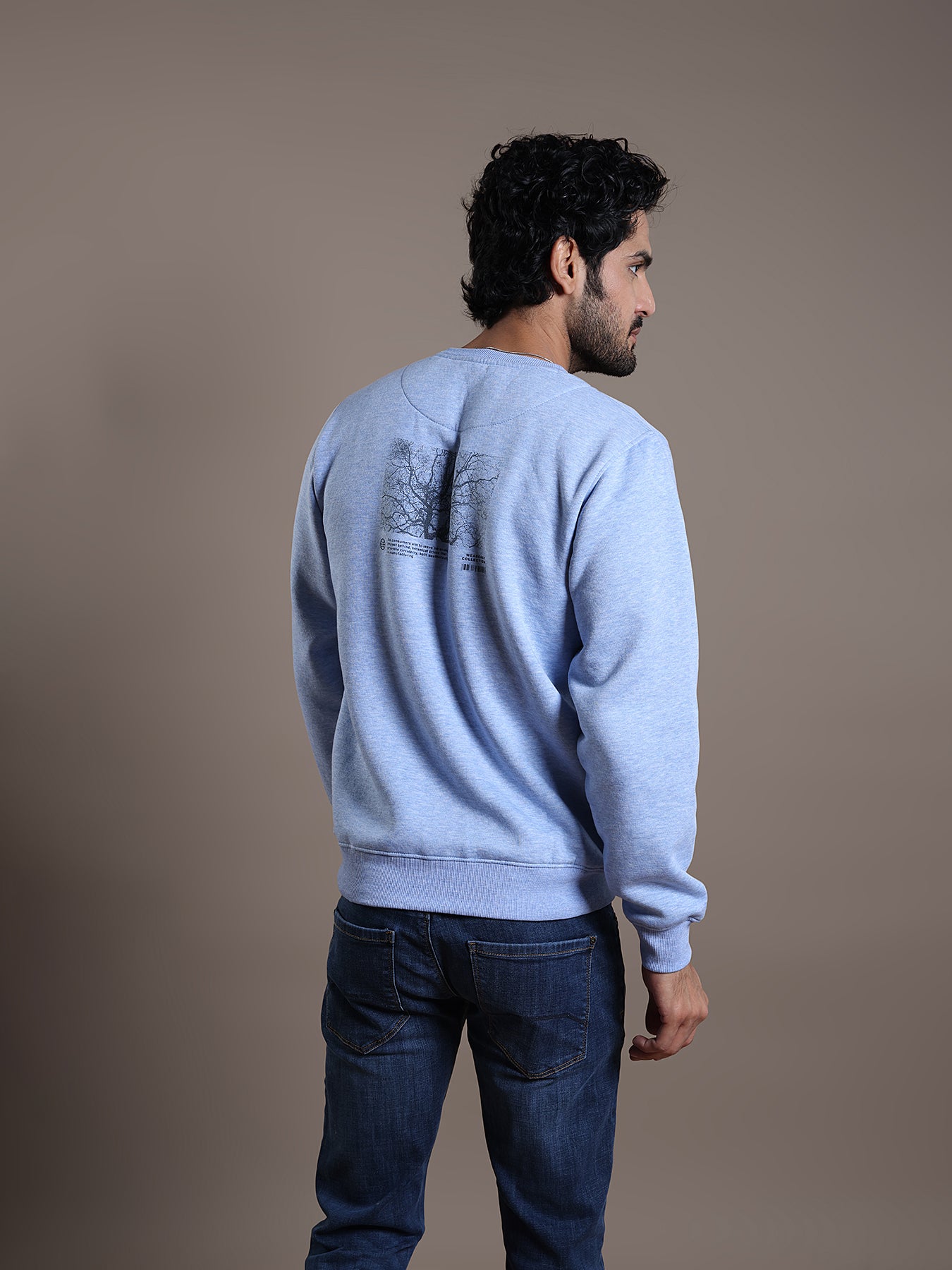 Knitted Sky Blue Printed Regular Fit Full Sleeve Casual Sweatshirt