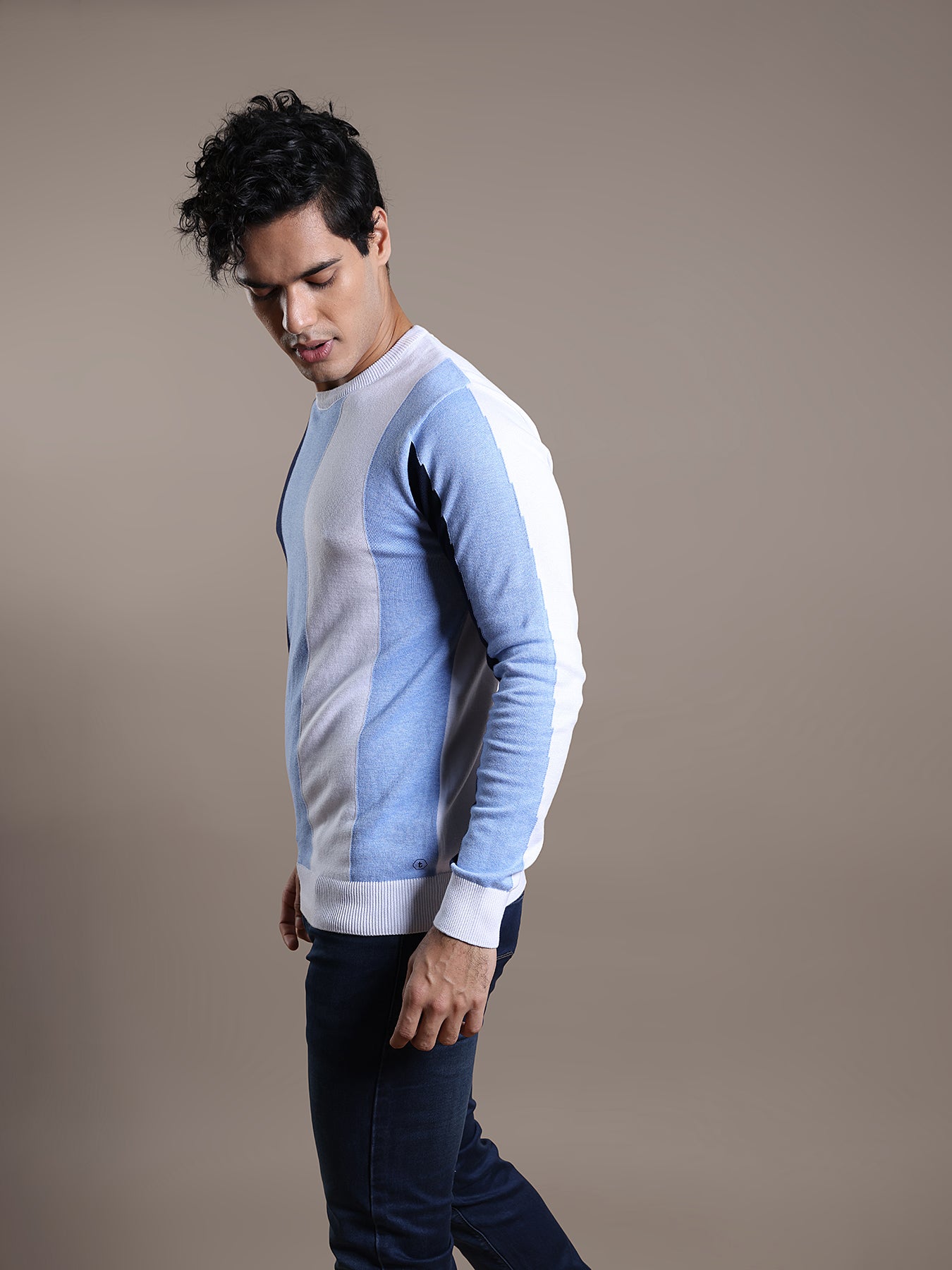 Knitted Blue Striped Regular Fit Full Sleeve Casual Pullover
