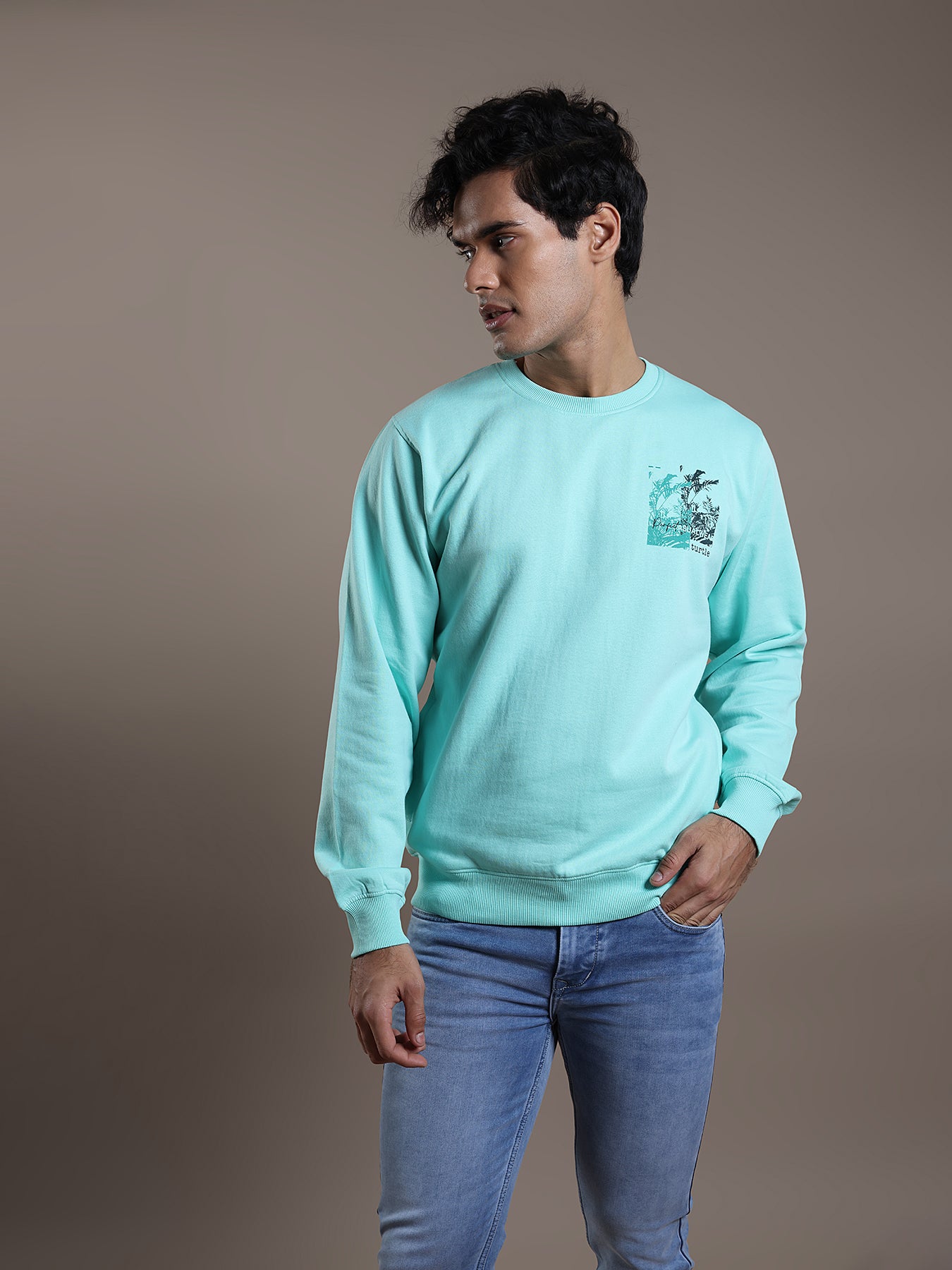 Knitted Turquoise Blue Printed Regular Fit Full Sleeve Casual Sweatshirt