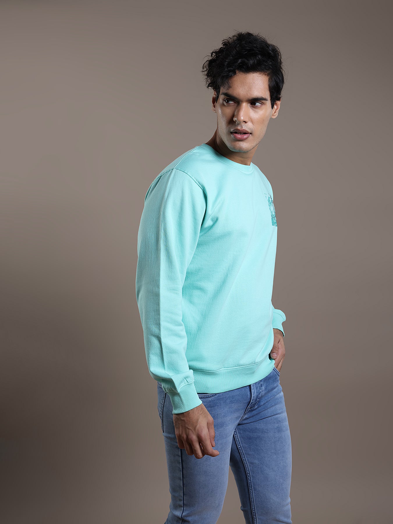 Knitted Turquoise Blue Printed Regular Fit Full Sleeve Casual Sweatshirt